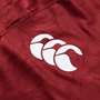 British and Irish Lions Mens Superlight T-Shirt Red - Canterbury 