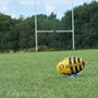 Optimum Stinger Training Rugby Ball - Pitch Side 