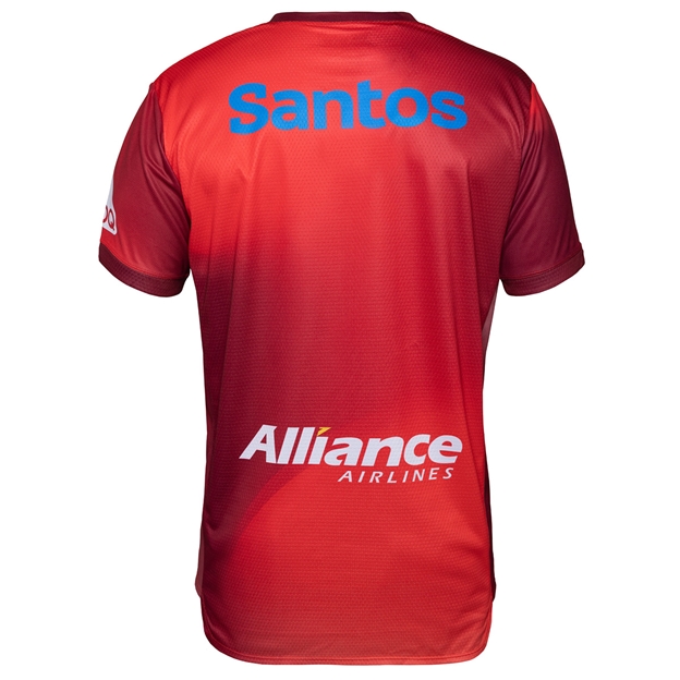 Queensland Reds Mens Training T-Shirt 25/26 Maroon - Back