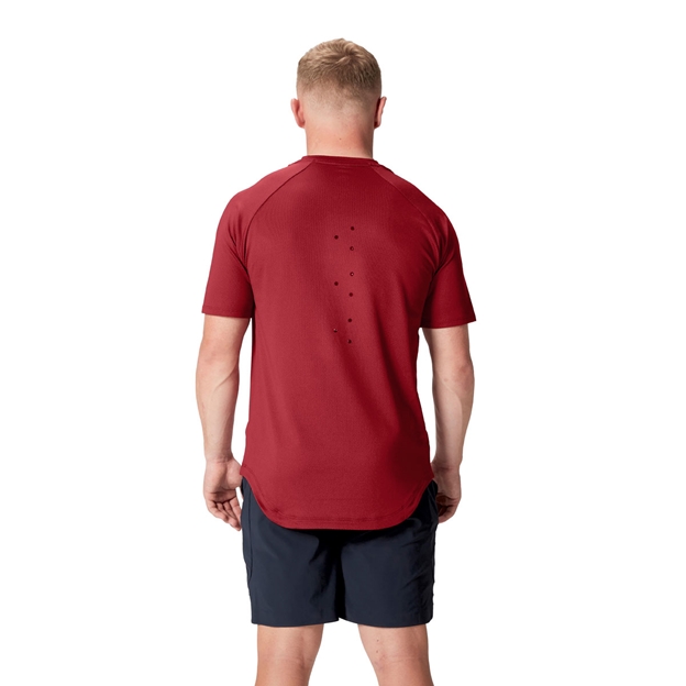 British and Irish Lions Mens Everest T-Shirt Red - Model Back