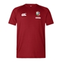 British and Irish Lions Mens Everest T-Shirt Red - Front 