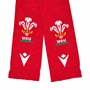 Wales Scarf - 2025 - WRU 