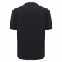 Wales Mens Travel Cotton T-Shirt - Black 2025 - Back 