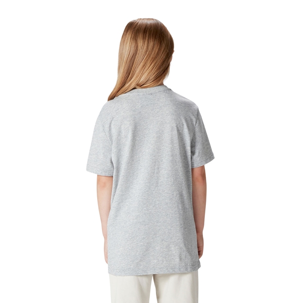 British and Irish Lions Junior Monument T-Shirt Grey - Model Back