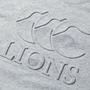 British and Irish Lions Junior Monument T-Shirt Grey - Canterbury 