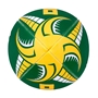 South Africa Supporters Ball Green/Gold/White Size 4 - End 