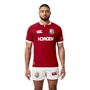 British and Irish Lions Mens Players Rugby Shirt Red - Model Front 
