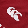 British and Irish Lions Mens Players Rugby Shirt Red - Canterbury 