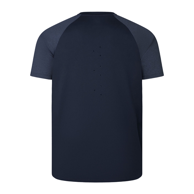 British and Irish Lions Mens Everest T-Shirt - Back
