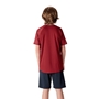British and Irish Lions Junior Superlight T-Shirt - Red 