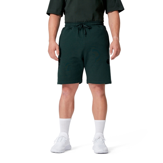 British and Irish Lions Mens Stealth Fleece Shorts Green - Model Front