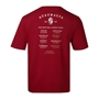 British & Irish Lions Mens Tour'25 T-Shirt Red - Back 