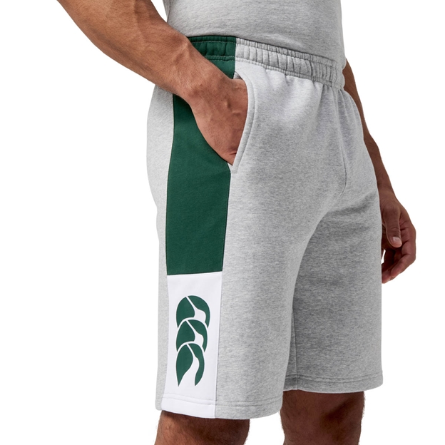 Canterbury Mens Legends Panel Shorts Classic Marl - Model Side