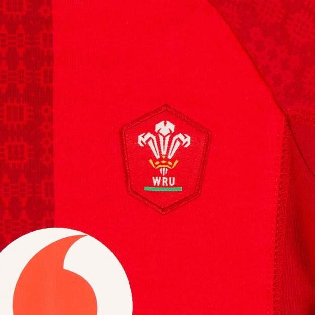 Wales Baby Home Kit Sleepsuit 25/26 Red - Welsh Feathers Embroidery Wales Baby Home Kit Sleepsuit 25/26 Red - Welsh Feathers Embroidery