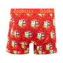 Oddballs British & Irish Lions Mens Boxer Shorts - Back 