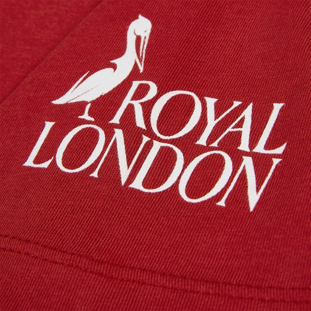 British & Irish Lions Womens Travel T-Shirt 2027 Pepper Red - Sleeve Close-up