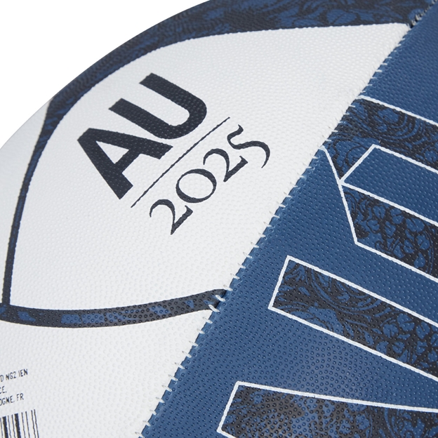 british and Irish Lions supporters ball - detail