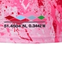 Harlequins Mens Alternate Rugby Shirt 25/26 - Coordinates 