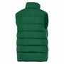 South Africa Springboks Mens Sideline Fill Vest 25/26 - Back 