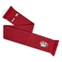 british and Irish Lions supporters scarf - detail 