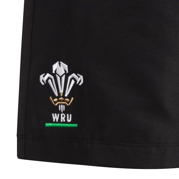 Wales Kids Training Shorts 26/27 - Logo Close-up