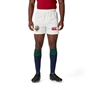 British and Irish Lions Mens Match Shorts - Cream - Model Front Half 