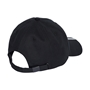 All Blacks Baseball Cap Black - Back 