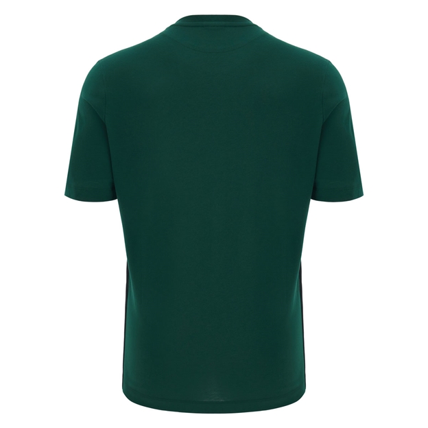 Wales Mens Travel T-Shirt 26/27 Green - Back View