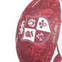 british and Irish Lions supporters ball - detail 