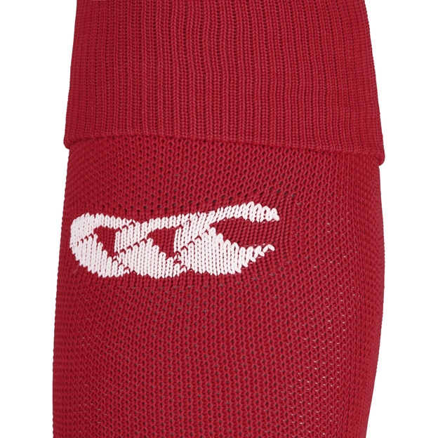 British and Irish Lions Mens Training Socks - Canterbury