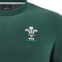 Wales Junior Cotton Fanline T-Shirt 25/26 Green - WRU 