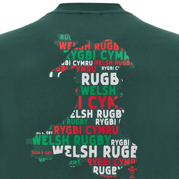 Wales Junior Cotton Fanline T-Shirt 25/26 Green - WRU