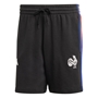 France Fan Wear Shorts Black - Front 