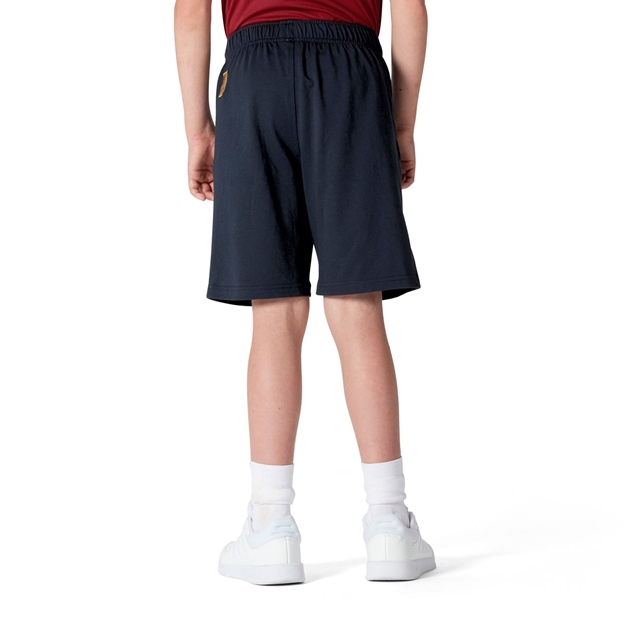 British and Irish Lions Junior Training Shorts - Model Back