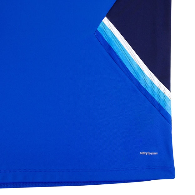 Scotland Mens Training Gym T-Shirt - Royal 2023