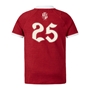 British and Irish Lions Winners Junior Rugby Shirt Red - Back 