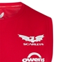 Scarlets Mens Training Vest 2024 - Dragon 