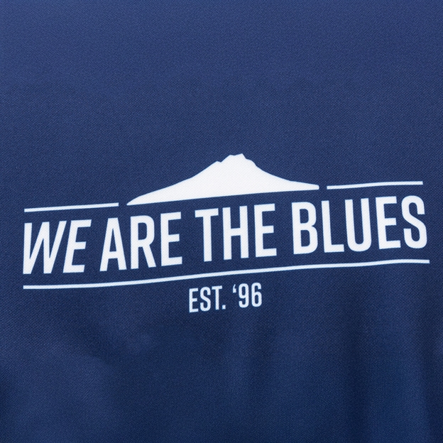 Blues Mens Hoodie 26/27 Multi - Est 96