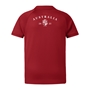 Limited Edition British and Irish Lions Junior Polo Red - Back 