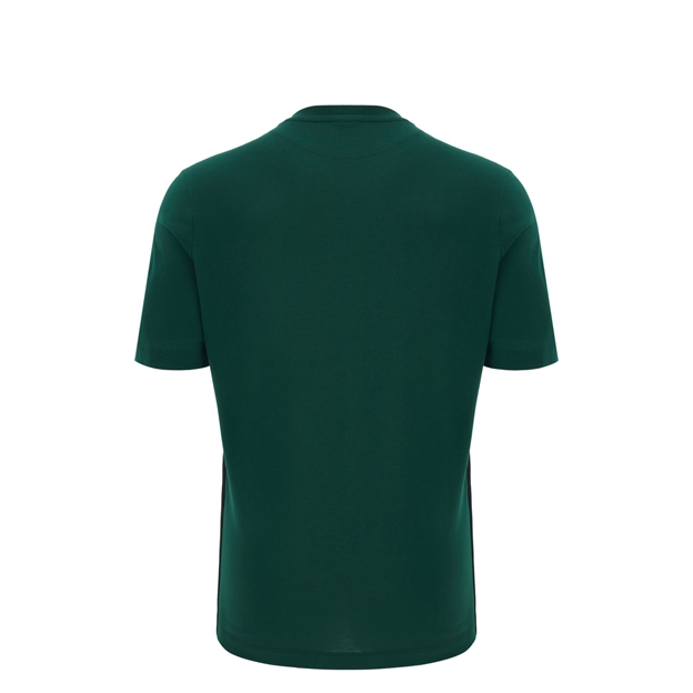 Wales Kids Travel T-Shirt 26/27 Green - Back View