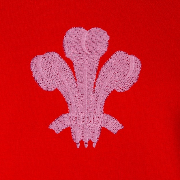 Womens World Cup Wales Womens Classic Hoodie Red - Feathers