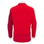 Wales Mens Home Cotton Rugby Shirt 25/26 - Back 