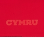 Wales Infants Home Rugby Kit 25/26 Red - Back Close-up 