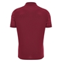 Wales Mens Travel Polo Shirt 25/26 Dark Red - Back 