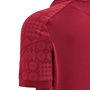 Wales Mens Travel Polo Shirt 25/26 Dark Red - Sleeve Detail 