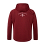 Limited Edition British and Irish Lions Mens Everest Hoody Red - Back 