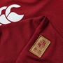 British and Irish Lions Junior Polo - Red - Close up Material 